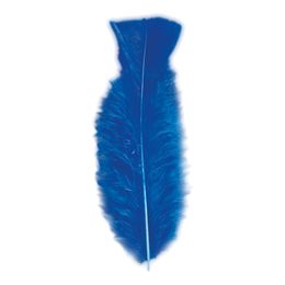 Fjädrar Blå