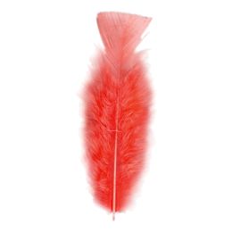 Fjädrar Röd
