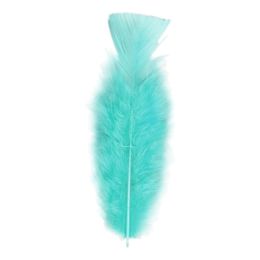 Fjädrar Turkos