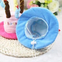 Diaesitys - Syntymäpäivähattu Kissalle