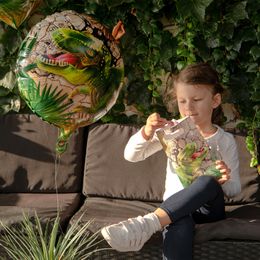Bildspel - Folieballong Dinosaurie
