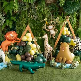 Bildspel - Folieballong Kapybara