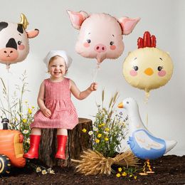 Bildspel - Folieballong Kyckling