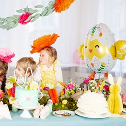 Bildspel - Folieballong Kyckling