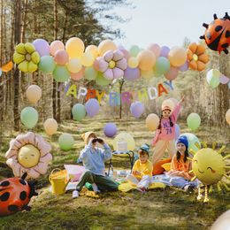 Diaesitys - Folioilmapallot Päivänkakkarat Ilmapallokaareen