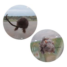 Vindusdekorasjon Rotte