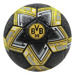 Fotboll Borussia Dortmund