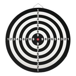 Bildspel - Gamesson Darttavla Set