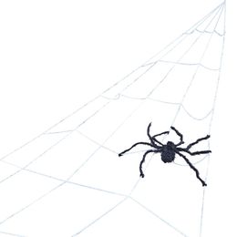 Giant Spider Web