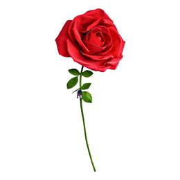 Lysbildefremvisning - Gigantisk Rose