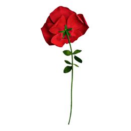 Lysbildefremvisning - Gigantisk Rose