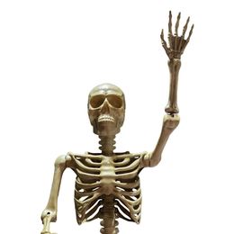 Lysbildefremvisning - Gigantisk Skelet Stående