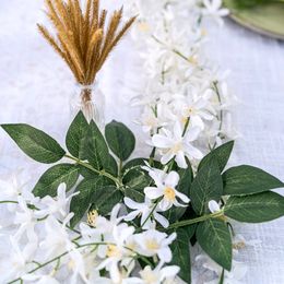 Bildspel - Girlang Jasminblommor