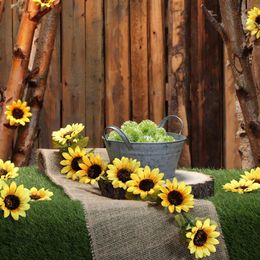 Lysbildefremvisning - Girlander Solsikker