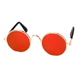 Bildspel - Glasögon till Katt/Hund