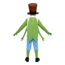 Bildspel - Gräshoppan Flip Barn Maskeraddräkt