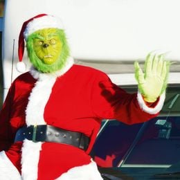 Bildspel - Grinchen Maskeraddräkt