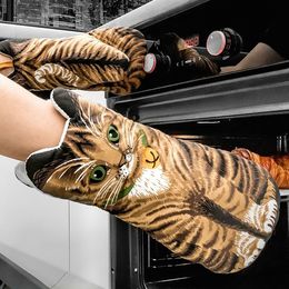 Bildspel - Grytvantar Katter