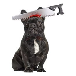 Bildspel - Halloween Props för Hund