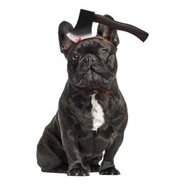 Bildspel - Halloween Props för Hund