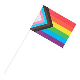 Handflaggor Pride Progress