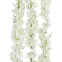 Bildspel - Hängande Gren Hortensia Vit