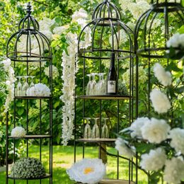 Bildspel - Hängande Gren Hortensia Vit