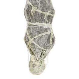 Lysbildefremvisning - Hængende Mumie med Belysning