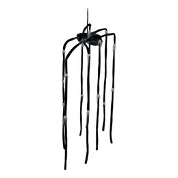 Lysbildefremvisning - Hængende Edderkop Prop