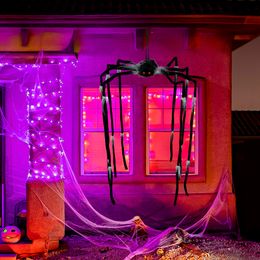 Lysbildefremvisning - Hængende Edderkop Prop