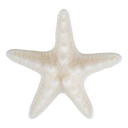 Hårklämma Sjöstjärna