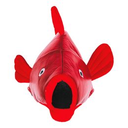 Bildspel - Hatt Fisk Röd