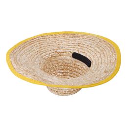 Lysbildefremvisning - Hatteindlæg