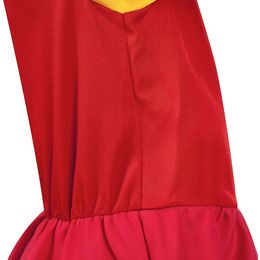 Diaesitys - Heidi Lasten Naamiaisasu