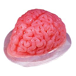 Gelatinform Hjärna