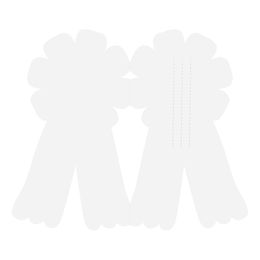 Lysbildefremvisning - Invitasjonskort Sløyfer Hester