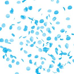 Lysbildefremvisning - Kjempeballong Gender Reveal