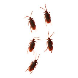 Bildspel - Kackerlackor i Plast