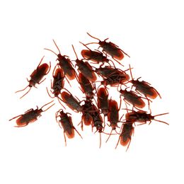 Kackerlackor i Plast