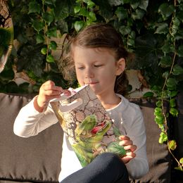 Bildspel - Kalaspåsar Dinosaurie