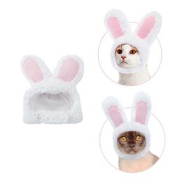 Bildspel - Kaninöron till Katt