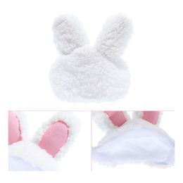 Bildspel - Kaninöron till Katt