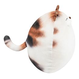 Bildspel - Knubbig Katt-kudde