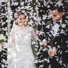 Diaesitys - Konfettitykki Perhoset Valkoinen