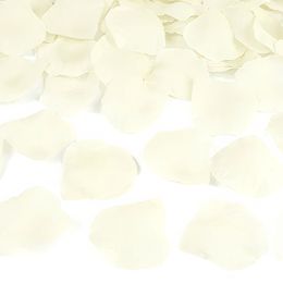 Bildspel - Konfettikanon Rosblad