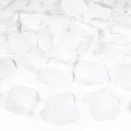 Bildspel - Konfettikanon Rosenblad Vita