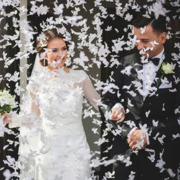 Bildspel - Konfettikanon Vita Fjärilar