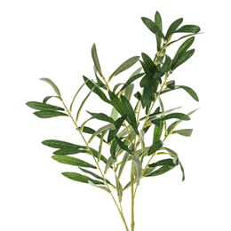 Bildspel - Konstgjord Olivkvist