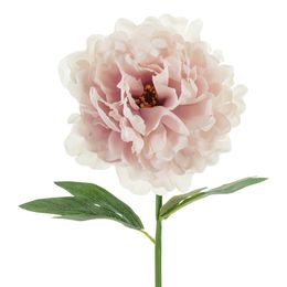 Bildspel - Konstgjord Pion Ljusrosa