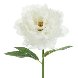 Bildspel - Konstgjord Pion Vit